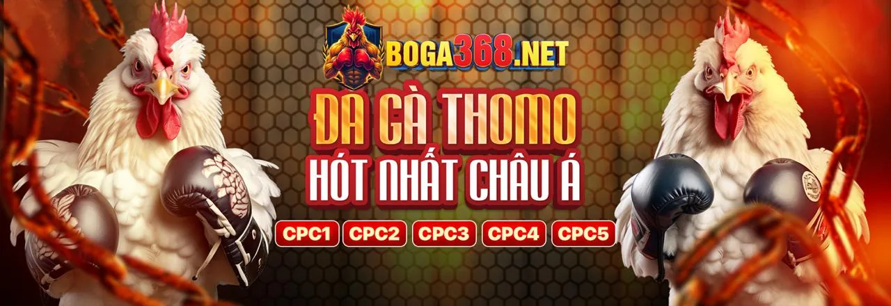 Đá gà trực tuyến fun97 với các khuyến mãi hấp dẫn 2026